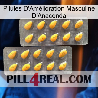 Anaconda Male Enhancement Pills cialis2